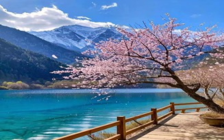 四川九寨沟景区简介旅游攻略 ,旅行的精彩建议_费用_住宿_景点